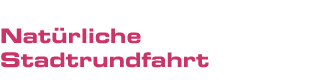 Rindvieh und Rauchschwalben: 