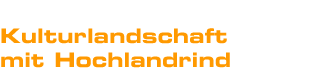 Kulturlandschaft mit Hochlandrind