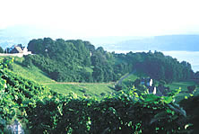 Der Lattenberg mit Zürichsee
