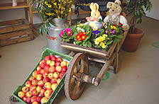 Äpfel vom Leimbihof
