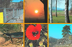 Bilder im Fruehsommer