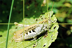 Heuguemper