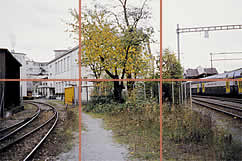 Natur inmitten des Industriequartiers