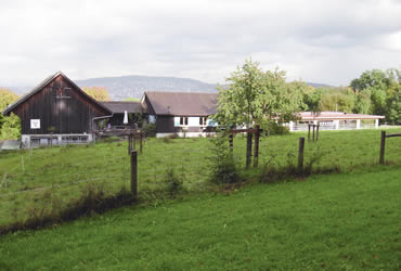 Schottisch