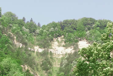 Zuerich_Alpin