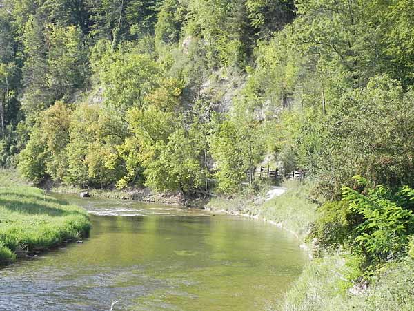 Sihl am Fuss des Entlisberg