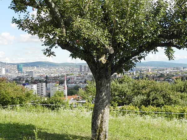 Ungewohnter Blick auf die Stadt