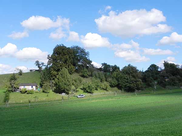Herrenbergli