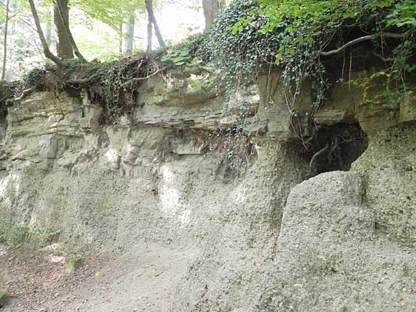 Molasseschichten am Loorenkopf