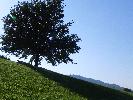 Pressebild für Schipferhof & Kleine Rigi