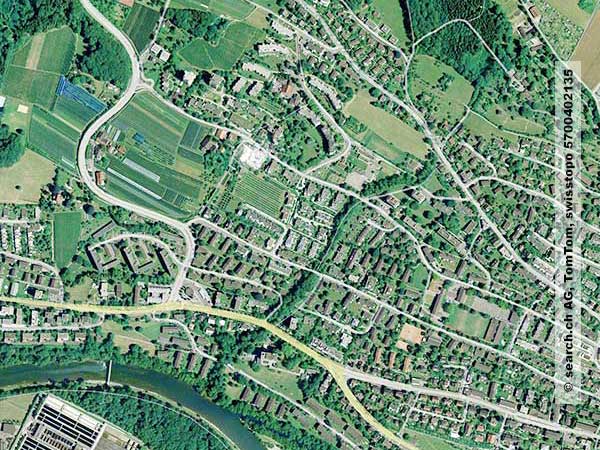 Bachgehölz vernetzt Wald (oben rechts) und Limmat (unten links)