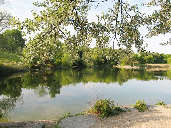 Irchelpark