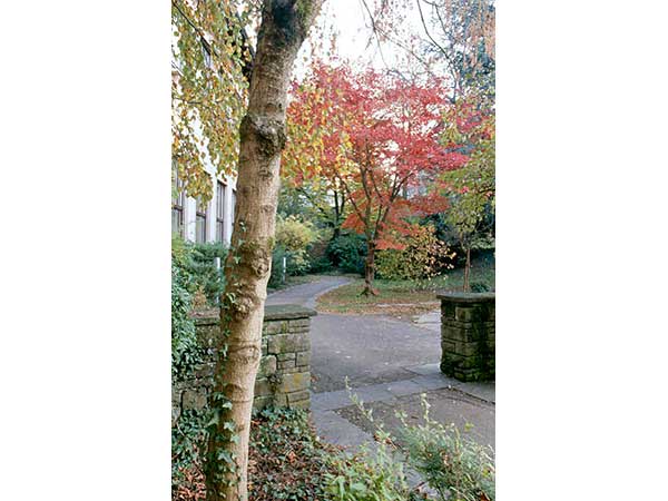 Wohlfahrtsgarten