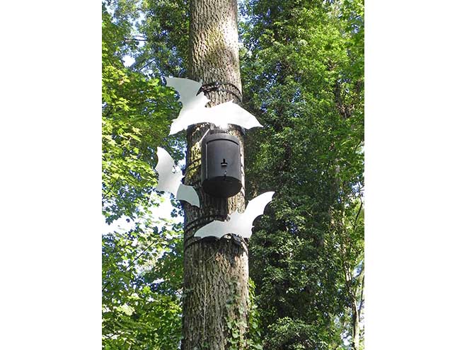 Fledermausbaum