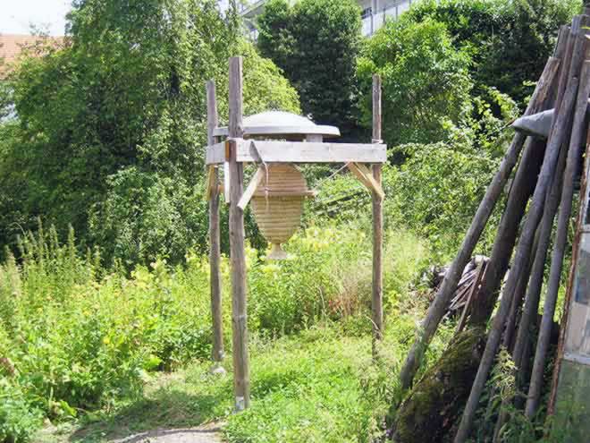  Bienenkorb