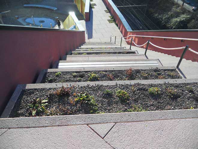  Kräutertreppe